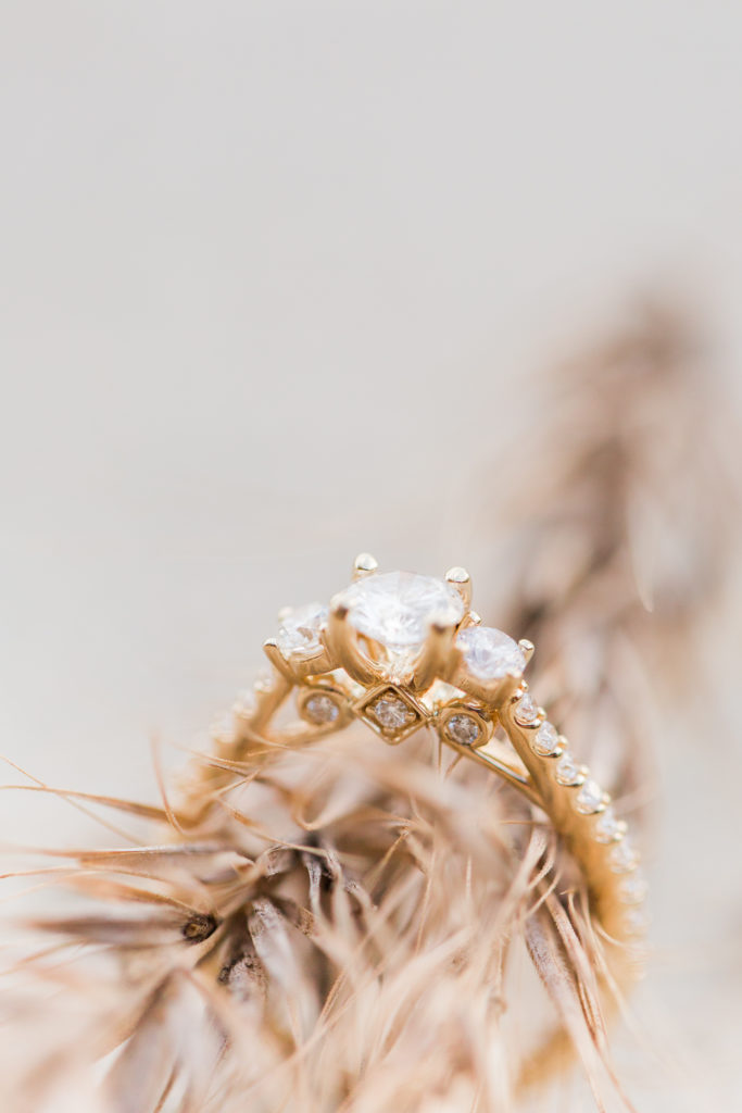 gold wedding ring sitting on stalk of wheat